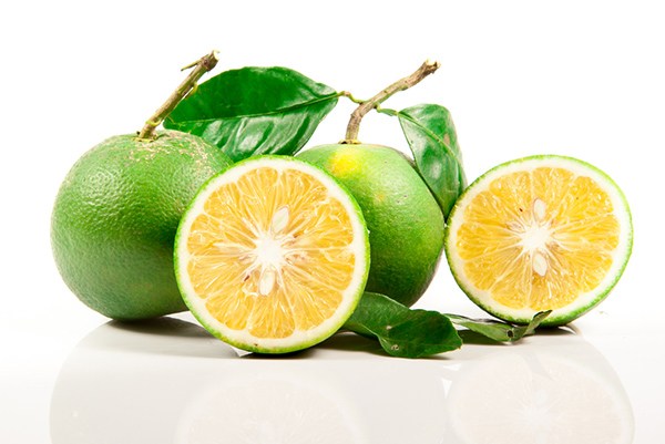 pause-citronnee